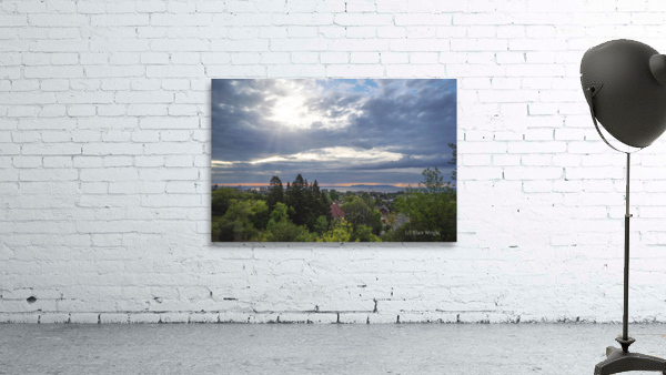 Mid August View Wall Preview