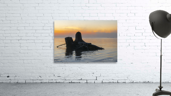 Stumped Wall Preview