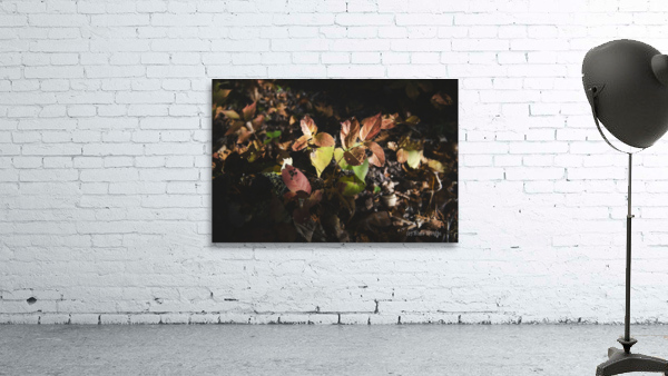 Nurturing Light Wall Preview