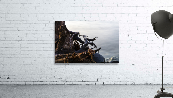 Roots Wall Preview
