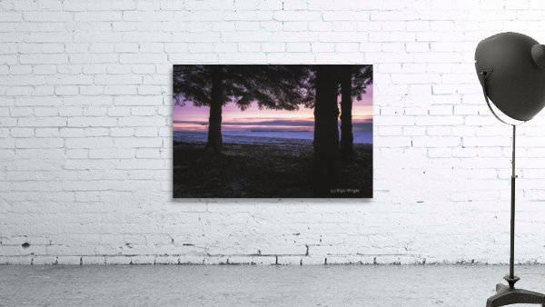 Through The Trees Wall Preview