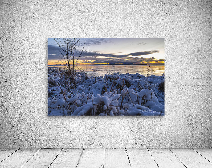 Snow Covered Grass Wall Preview
