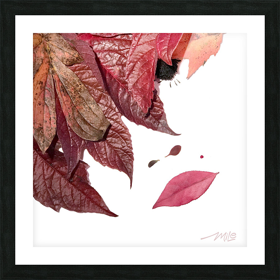 Sensuelle - MiLe Picture Frame print