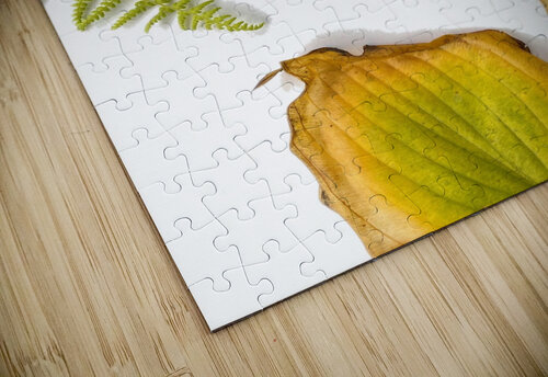 Captivee - MiLe MiLe puzzle