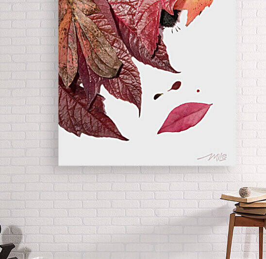 Sensuelle - MiLe by MiLe