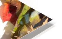 Epicurienne - MiLe HD Metal print
