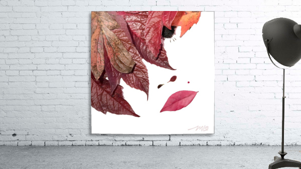 Sensuelle - MiLe Wall Preview