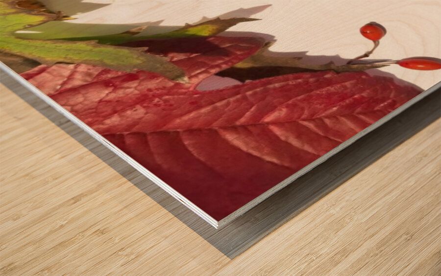 Epicurienne - MiLe Wood print