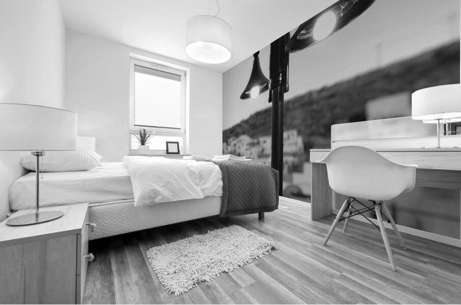  Lightography Mural print