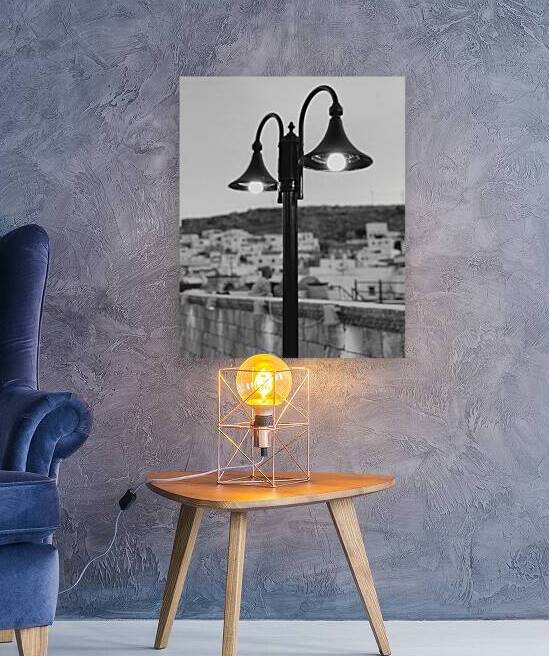  Lightography Reproduction