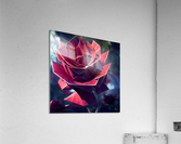 Metal Rose Acrylic Print