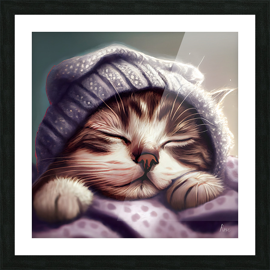 Cat Nap Picture Frame print