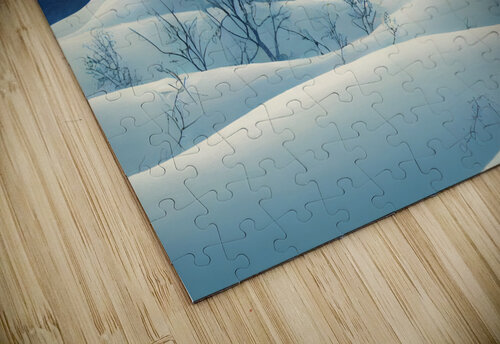 Wintery Hills Rose Dragon puzzle