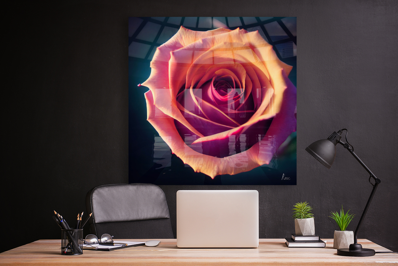 Rose Reproduction