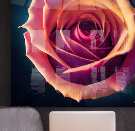 Rose Reproduction