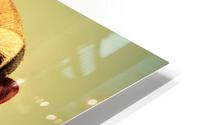 Frustation HD Metal print