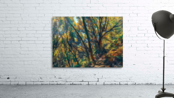 Forrest hike Wall Preview