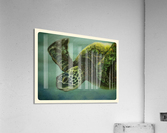 Turtle Acrylic Print