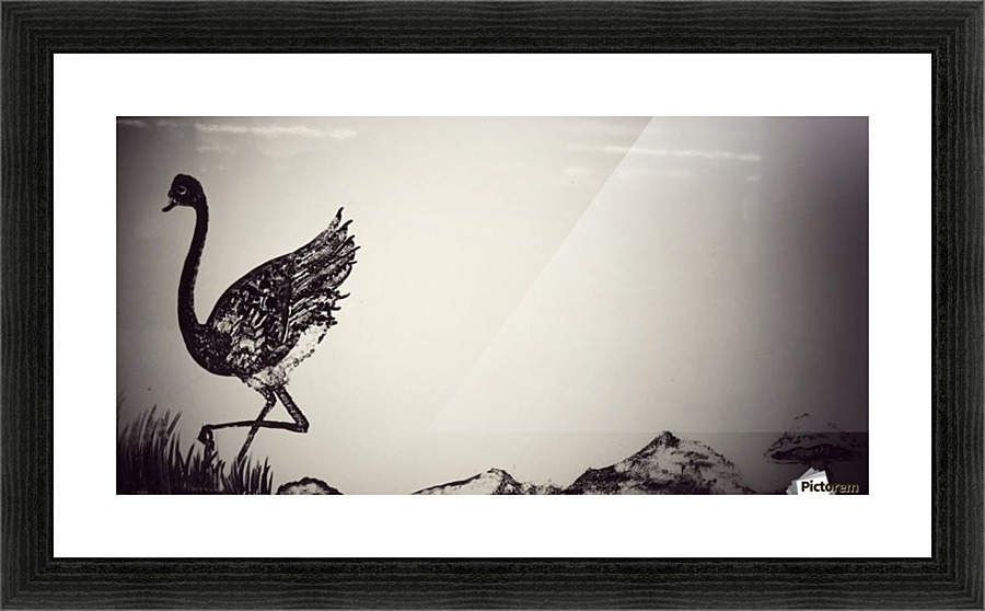 Bird Picture Frame print