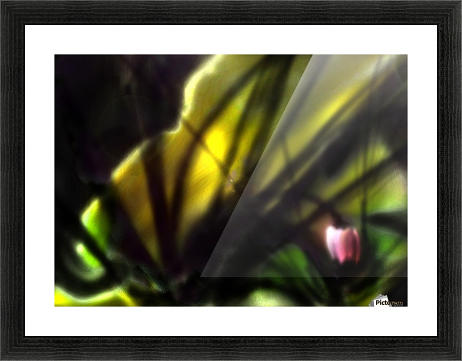 Foral rays Picture Frame print