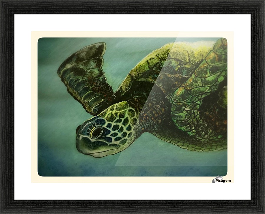 Turtle Picture Frame print