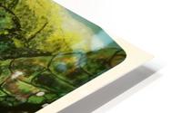 Turtle HD Metal print