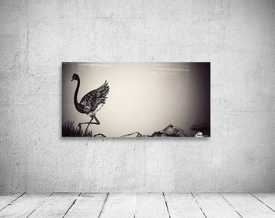 Bird Wall Preview