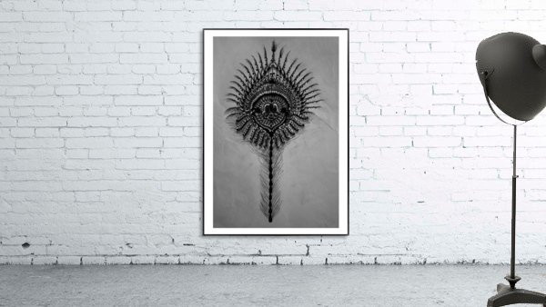 Peacock Feather Wall Preview