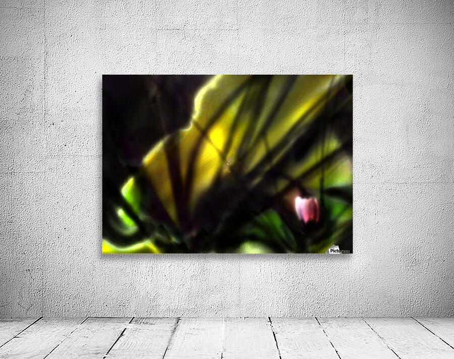 Foral rays Wall Preview