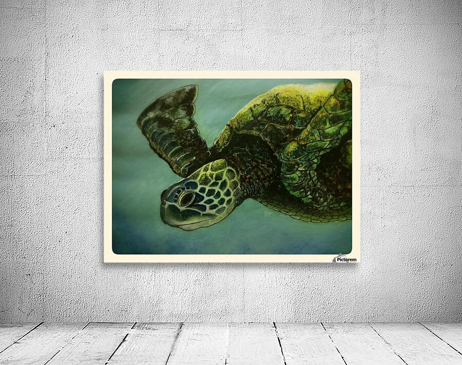 Turtle Wall Preview