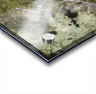 River Reflection Acrylic print