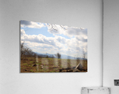 Beauty Spot Acrylic Print