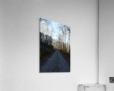 Winter Mountain Roads Acrylic Print