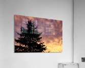 Morning Sky Acrylic Print