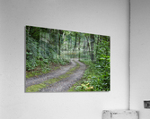 Summer Road Acrylic Print