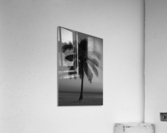 Lonely Palm Acrylic Print