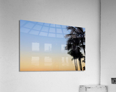 Palms Watching Sunset Acrylic Print