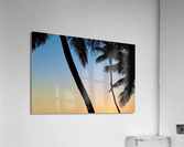 Miami Vice Sunset Acrylic Print