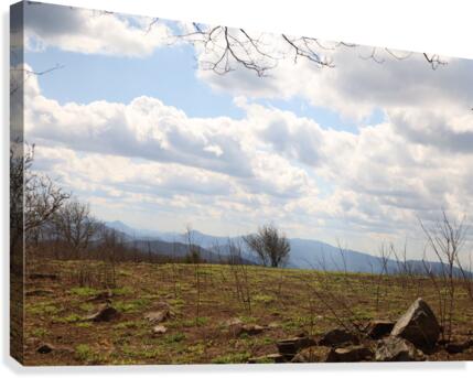 Beauty Spot Canvas Print