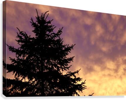 Morning Sky Canvas Print