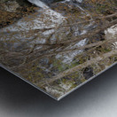Carolina Water Metal print
