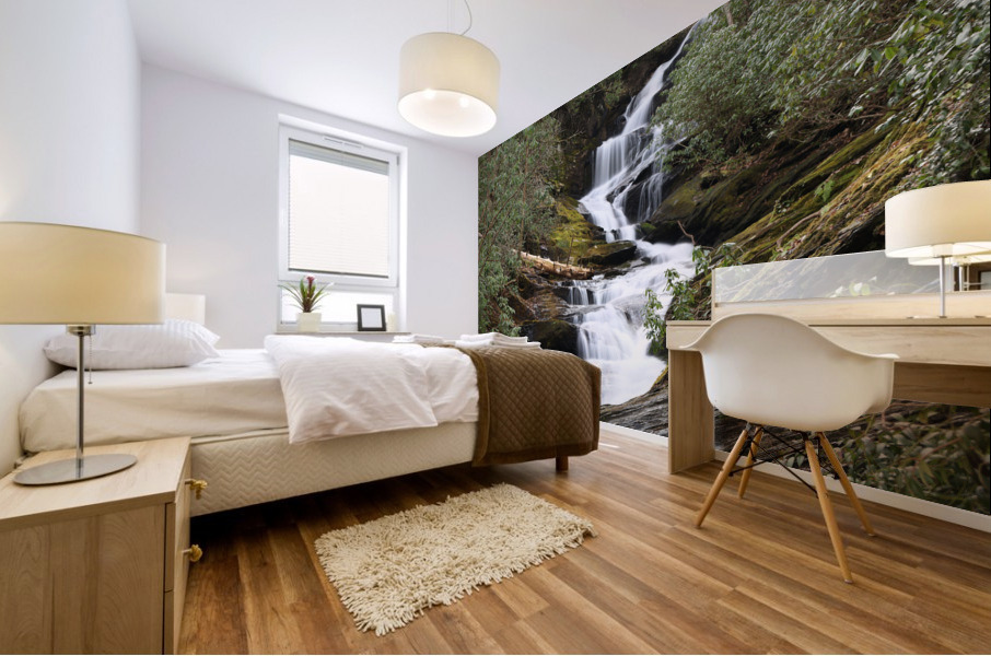 Roaring Fork Falls Mural print