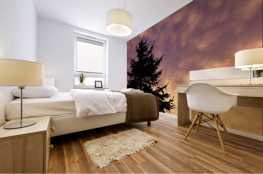 Morning Sky Mural print