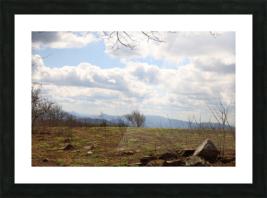 Beauty Spot Picture Frame print