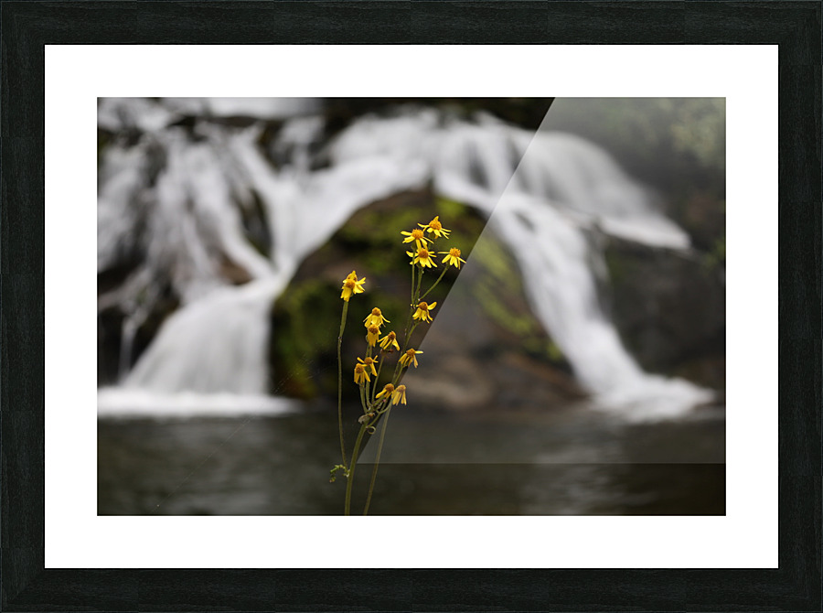 Flowers and Falls Picture Frame print