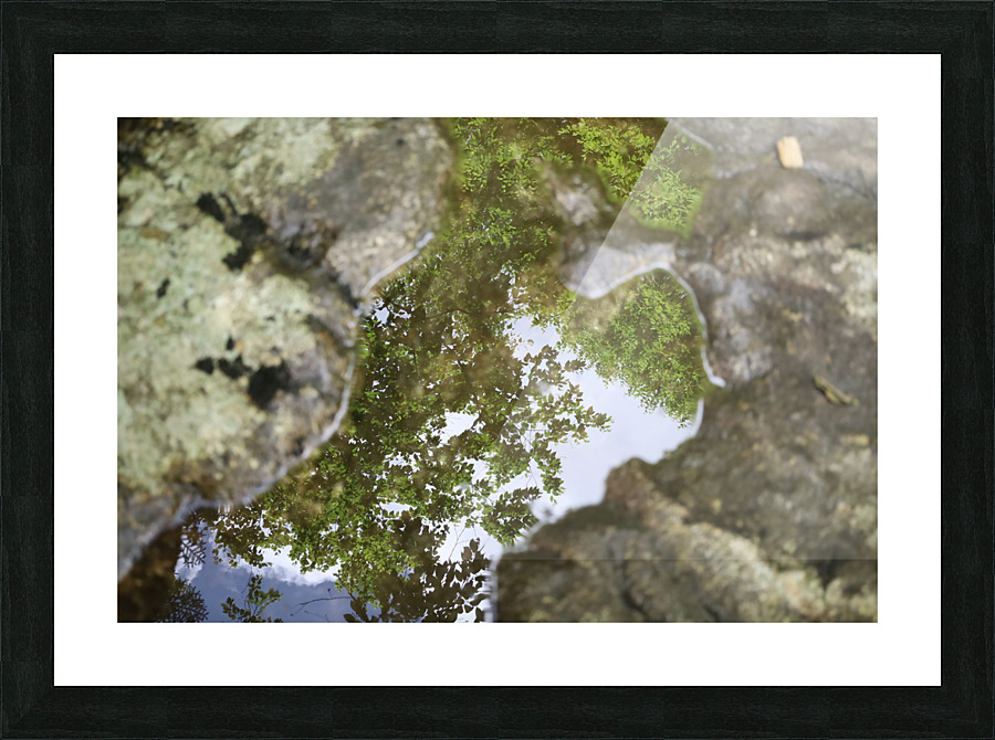 River Reflection Picture Frame print