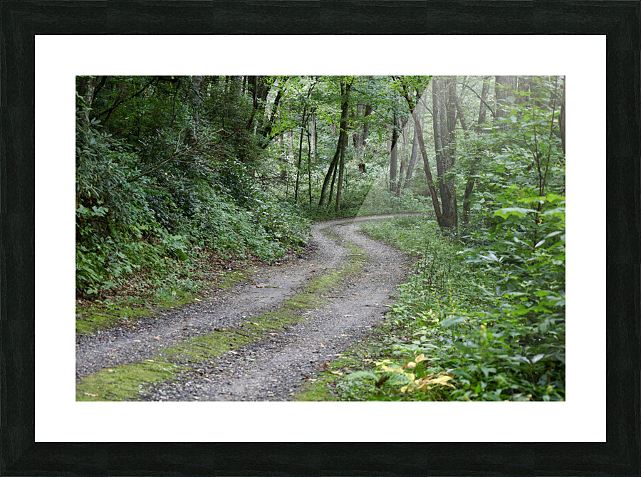 Summer Road Picture Frame print