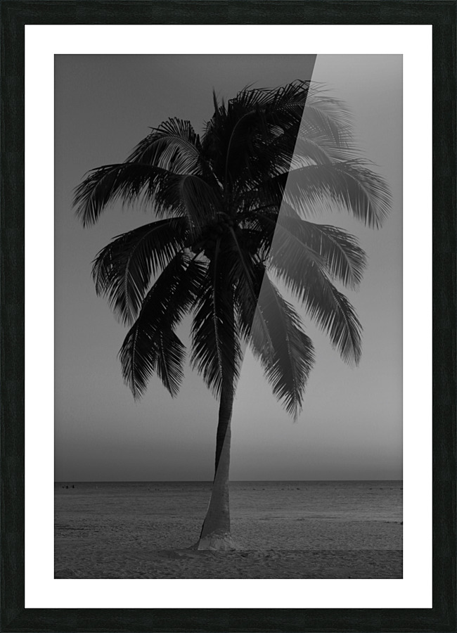 Lonely Palm Picture Frame print