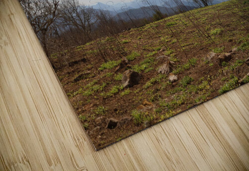 Beauty Spot Franklin Oldham puzzle
