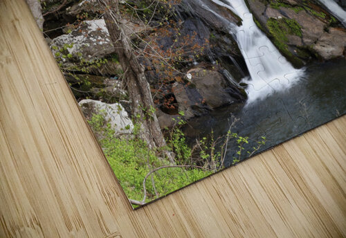 Carolina Water Franklin Oldham puzzle